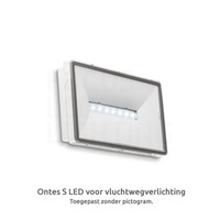 Ontec S - LED Notleuchte Aufbau - 2W Beleuchtungonline Ontec S - LED Notleuchte Aufbau - 2W