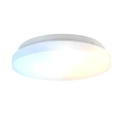 LED Deckenleuchte - 18W - Lichtfarbe einstellbar - IP20 - 1800 Lumen - Ø30 cm