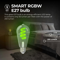 Ledvion Smart RGB+1800K E27 LED Lampe Filament - Wifi - Dimmbar - 5W