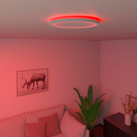 Calex Calex Smart LED Deckenleuchte Halo - Weiß - 22W - RGB+CCT - Ø295 cm