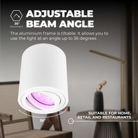 Ledvion Smart LED Aufbaustrahle - Rund - Weiß - 4,9W - RGB+CCT - Kippbar - IP20