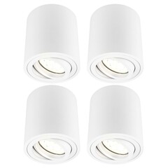 4x Dimmbare LED Aufbaustrahle - Rund - Weiß - 5W - 2700K - Kippbar - IP20