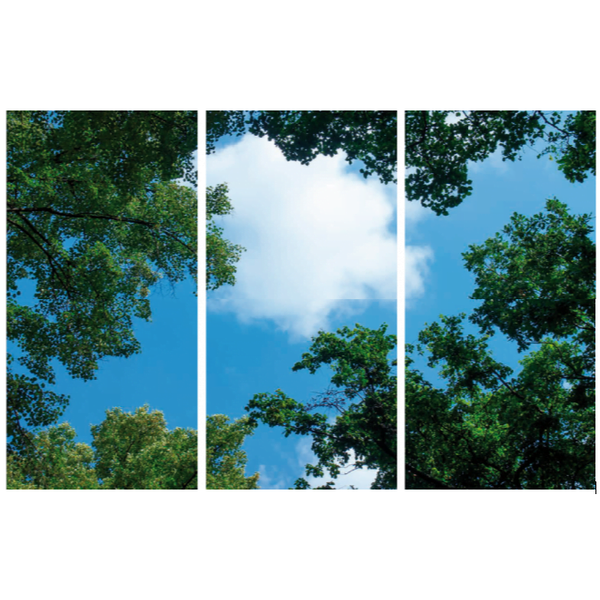 Beleuchtungonline LED Panel Wolkenhimmel - Fotodruck Bild Wolken und Wald - Gedruckt auf 3 Panele - 1195x595