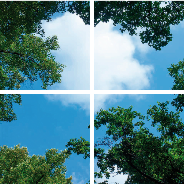 Beleuchtungonline LED Panel Wolkenhimmel - Fotodruck Bild Wolken und Wald - Gedruckt auf 4 Panele - 595x595