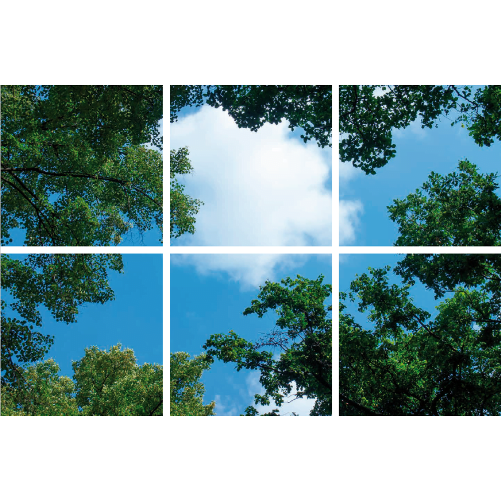 Beleuchtungonline LED Panel Wolkenhimmel - Fotodruck Bild Wolken und Wald - Gedruckt auf 6 Panele - 595x595