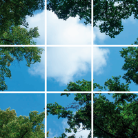 Beleuchtungonline LED Panel Wolkenhimmel - Fotodruck Bild Wolken und Wald - Gedruckt auf 9 Panele - 595x595