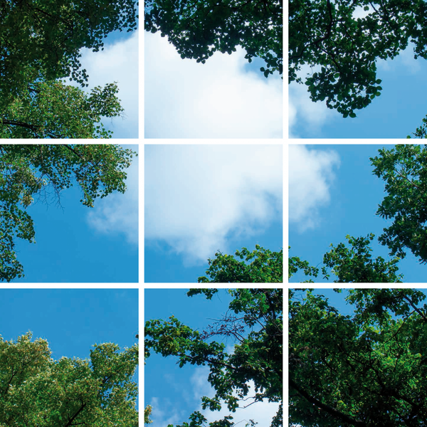 Beleuchtungonline LED Panel Wolkenhimmel - Fotodruck Bild Wolken und Wald - Gedruckt auf 9 Panele - 595x595