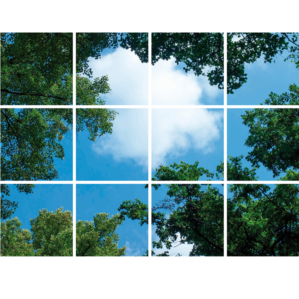 Beleuchtungonline LED Panel Wolkenhimmel - Fotodruck Bild Wolken und Wald - Gedruckt auf 12 Panele - 595x595