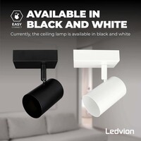 Ledvion LED Deckenstrahler Schwarz - 3W - 4000K - Neigbar