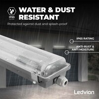 Ledvion LED Feuchtraumleuchte 120 cm für 2x LED TL Röhren - IP65 - Edelstahlklammern