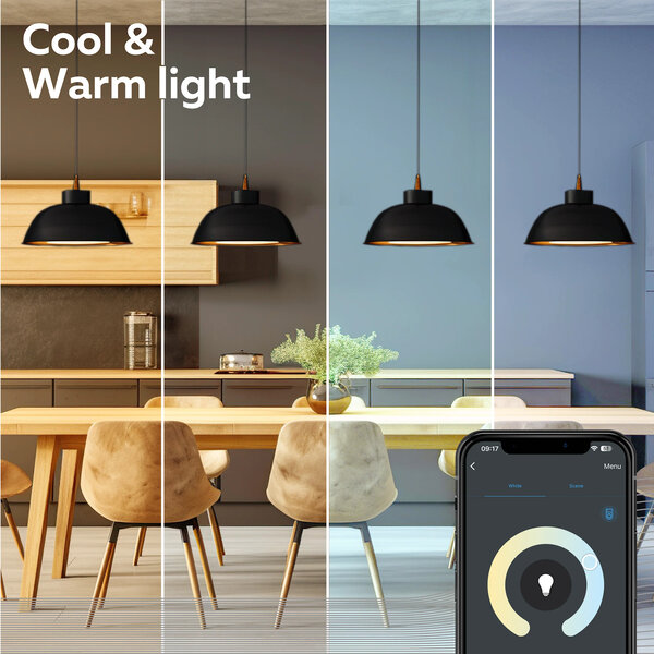 Calex Calex Smart LED Ball-lamp - 4,9W