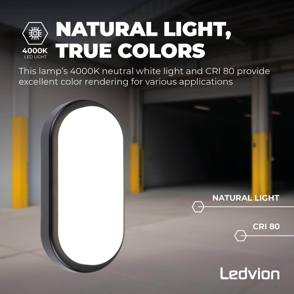 Ledvion LED Bulkhead Oval – 6,5 W – 4000K – 700 Lumen – Schwarz – IP54 wasserdicht – 5 Jahre Garantie