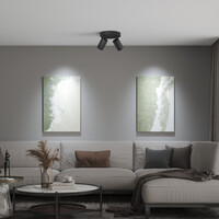 Ledvion LED Deckenstrahler Schwarz Duo - Dimmbar - 3W - 6500K - Neigbar