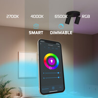 Ledvion LED Deckenstrahler Schwarz Duo - Dimmbar - 4,9W - RGB+CCT - Neigbar
