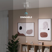 Ledvion LED Deckenstrahler Weiß Duo - Dimmbar - 3W - 4000K - Neigbar