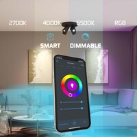 Ledvion LED Deckenstrahler Schwarz 4-licht - Dimmbar - 4,9W - RGB+CCT - Neigbar