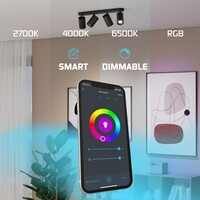 Ledvion LED Deckenstrahler Schwarz 4-licht - Dimmbar - 4,9W - RGB+CCT - Neigbar