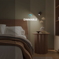 Ledvion LED Deckenstrahler Schwarz - Dimmbar - 3W - 4000K - Neigbar