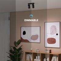 Ledvion LED Deckenstrahler Schwarz Duo - Dimmbar - 3W - 2700K - Neigbar