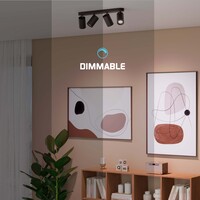 Ledvion LED Deckenstrahler Schwarz 4-licht - Dimmbar - 3W - 2700K - Neigbar