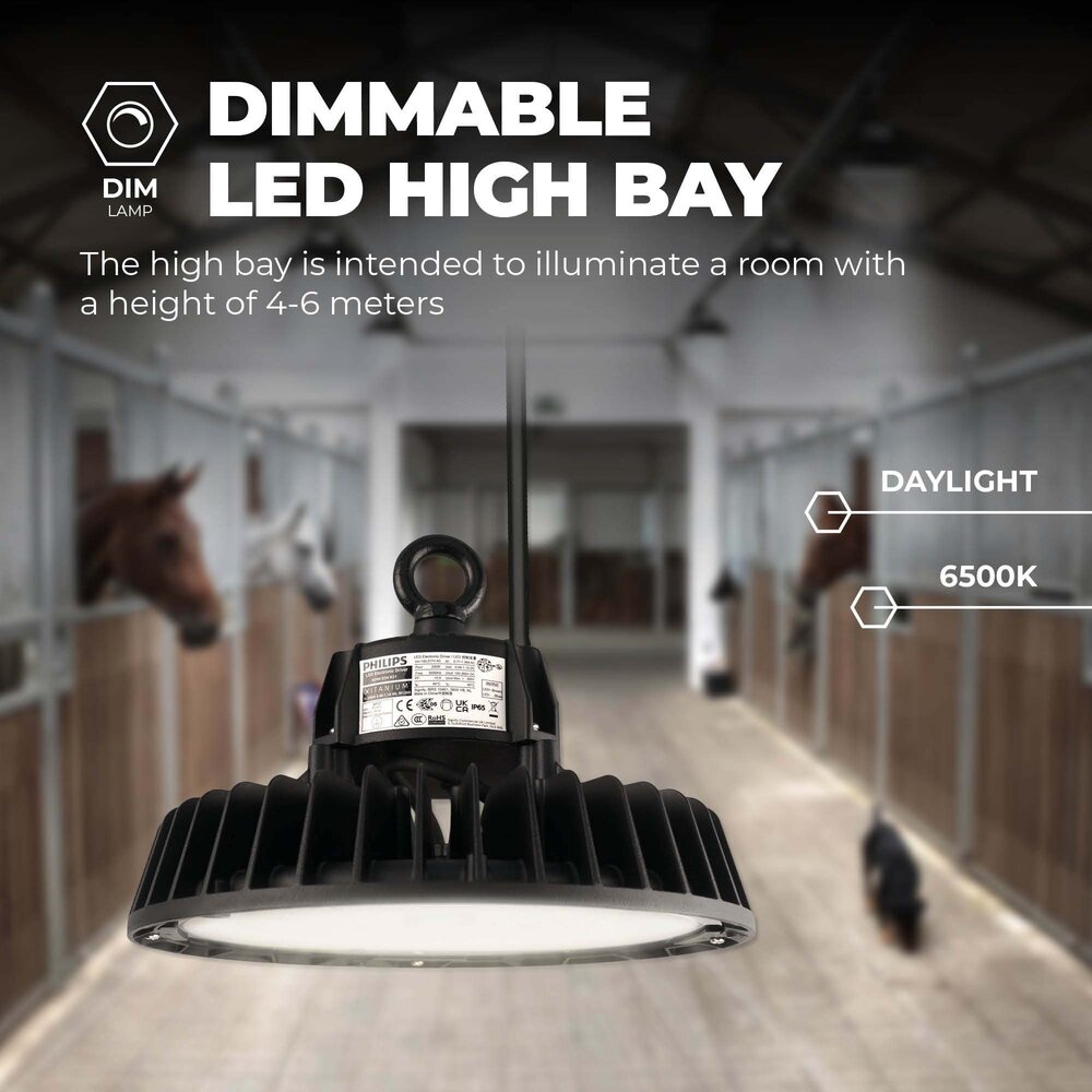 Ledvion LED Hallenstrahler 240W mit Reflektor - Philips Driver - 90° - 175lm/W - 6500K - IP65 - Dimmbar - 5 Jahre Garantie - GS-geprüft