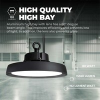 Ledvion LED Hallenstrahler 80W mit Linse - Energieeffizienzklasse A - 60° - 192 Lm/W - 4000K - IP65 - Dimmbar - 5 Jahre Garantie