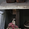 Rene Houtman Massief oud houten wandtafel/sidetable Liedi Rene Houtman Massief oud houten wandtafel/sidetable Liedi