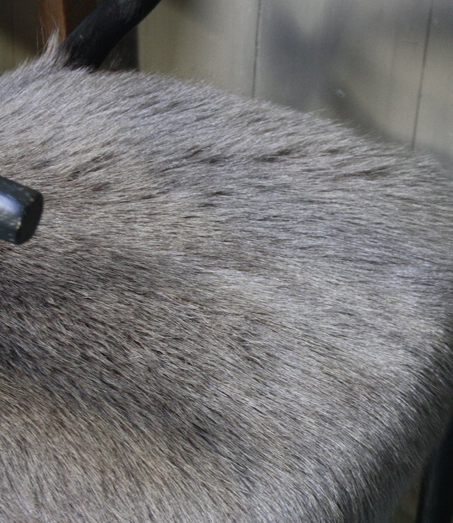 Rene Houtman Houten stoel met geitenvacht Donker
