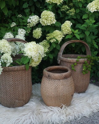 Rene Houtman Vismand Oud Riet Vergrijsd - L40 x B28 cm