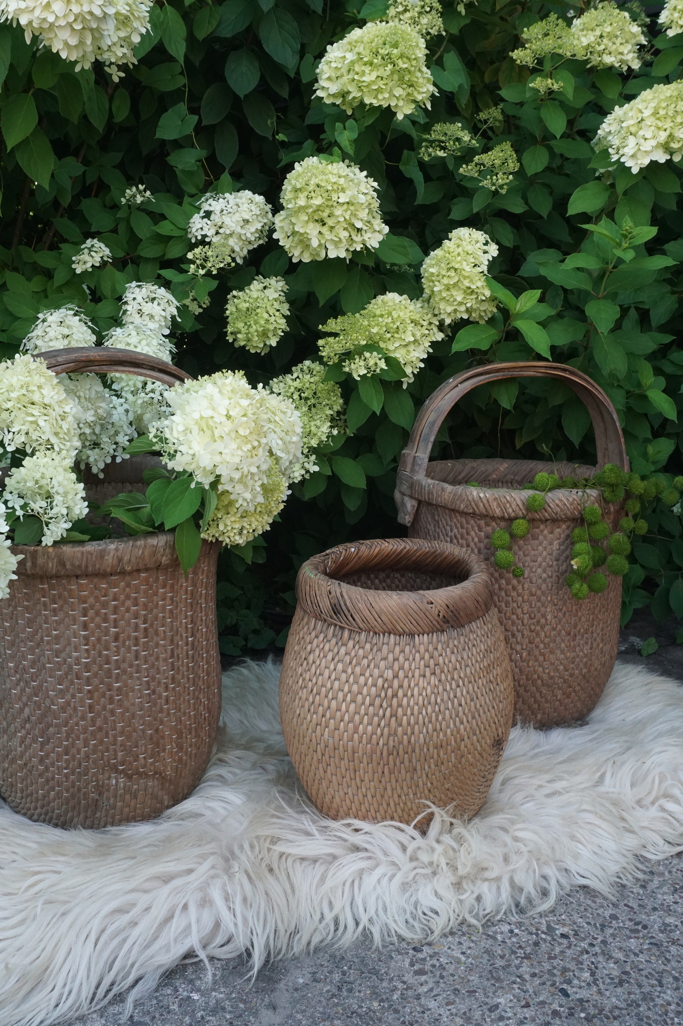 Rene Houtman Vismand Oud Riet Vergrijsd - L40 x B28 cm