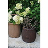 Vismand Oud Riet Vergrijsd - L36 x B31 cm