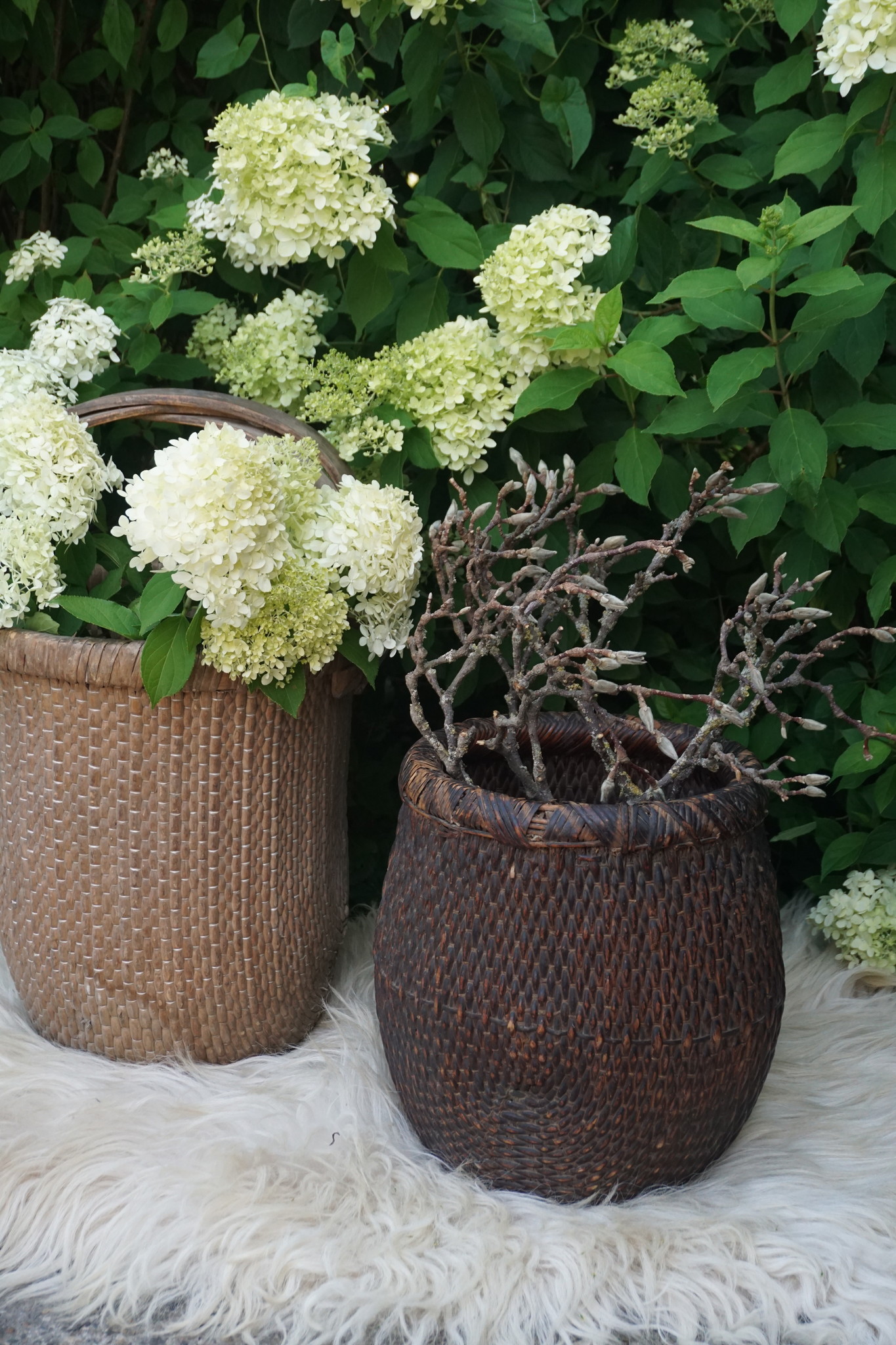 Rene Houtman Vismand Oud Riet Vergrijsd - L36 x B31 cm