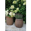 Vismand Oud Riet Vergrijsd - L39 x B30 cm