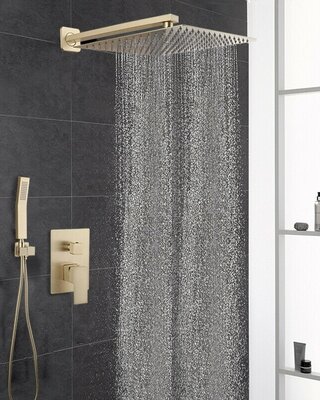 Rene Houtman Geborsteld Gouden Douche