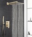 Rene Houtman Geborsteld Gouden Douche