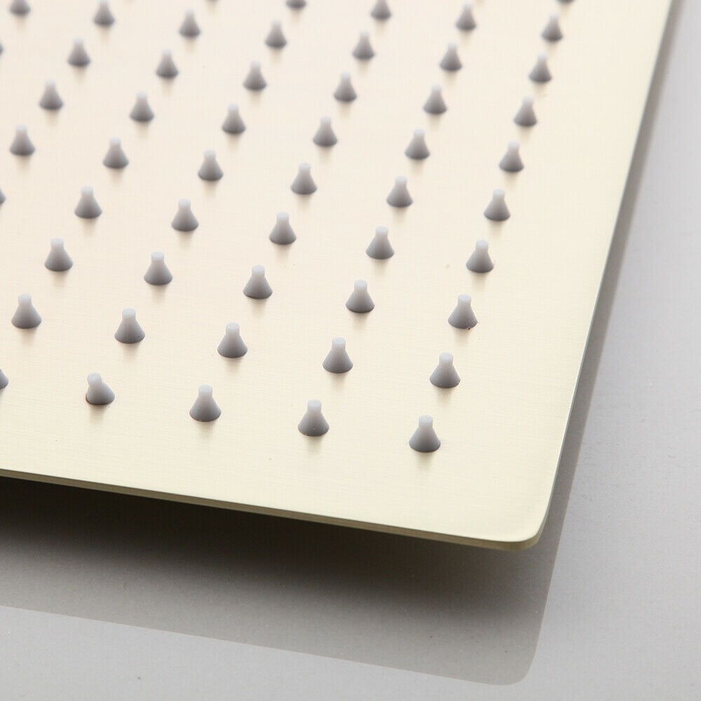 Rene Houtman Geborsteld Gouden Douche