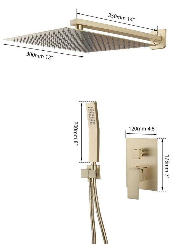 Rene Houtman Geborsteld Gouden Douche
