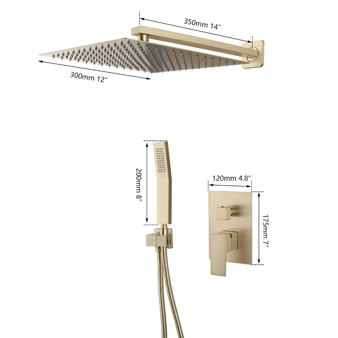 Rene Houtman Geborsteld Gouden Douche
