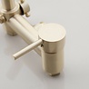 Rene Houtman Klassieke Opbouw Douche - Geborsteld Goud Rene Houtman Klassieke Opbouw Douche - Geborsteld Goud