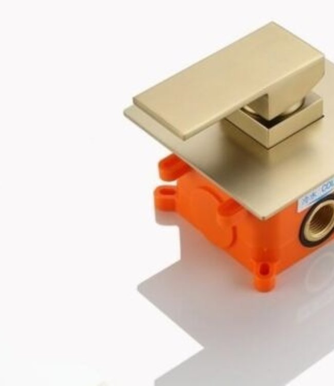 Rene Houtman Inbouw Douche - Mat Goud