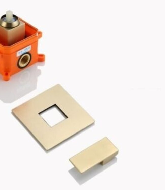 Rene Houtman Inbouw Douche - Mat Goud