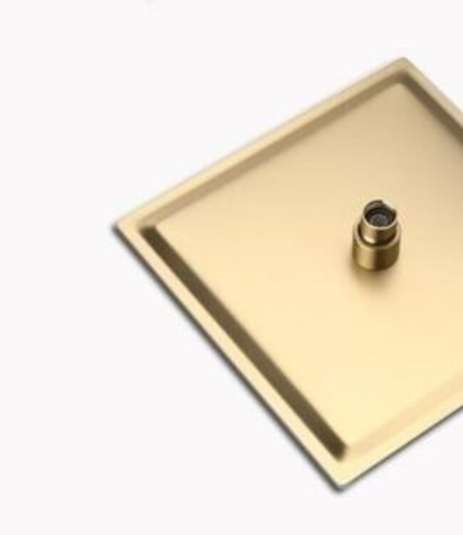 Rene Houtman Inbouw Douche - Mat Goud