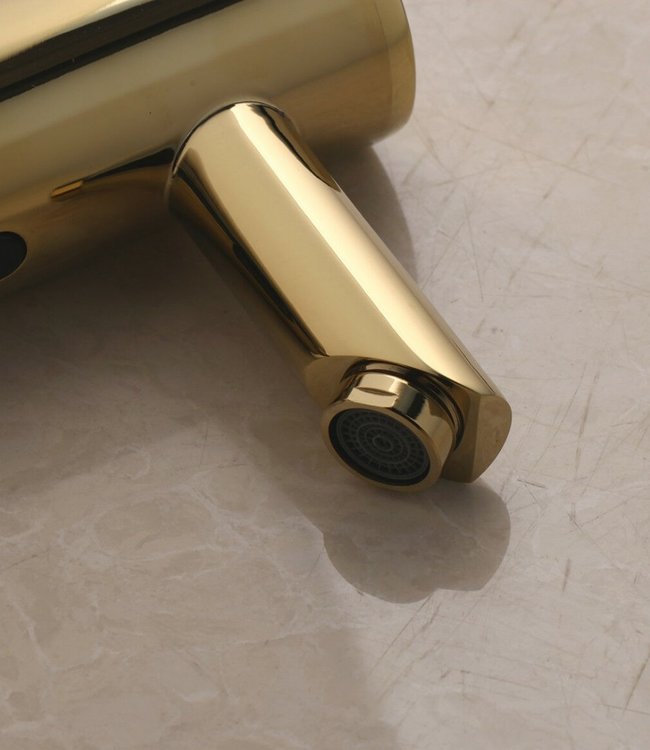 Rene Houtman Gouden Kraan Met Sensor - H17,5 cm