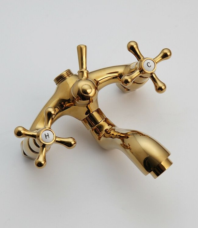 Rene Houtman Goudkleurige Opbouw Douche