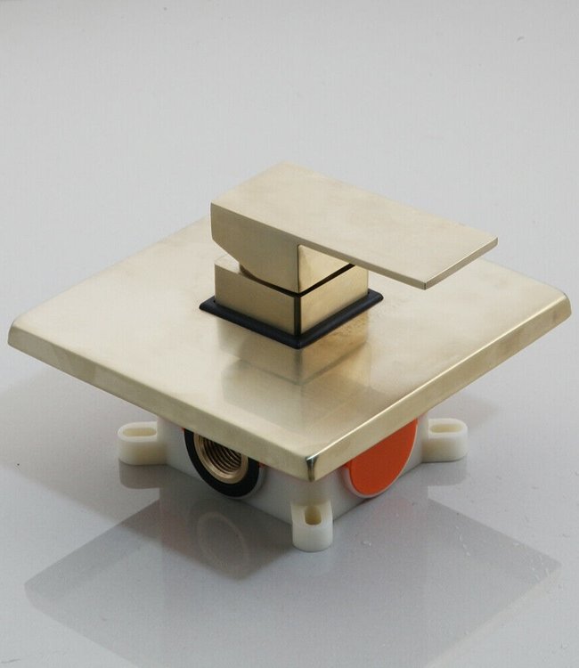 Rene Houtman Inbouwdouche - Mat Goud