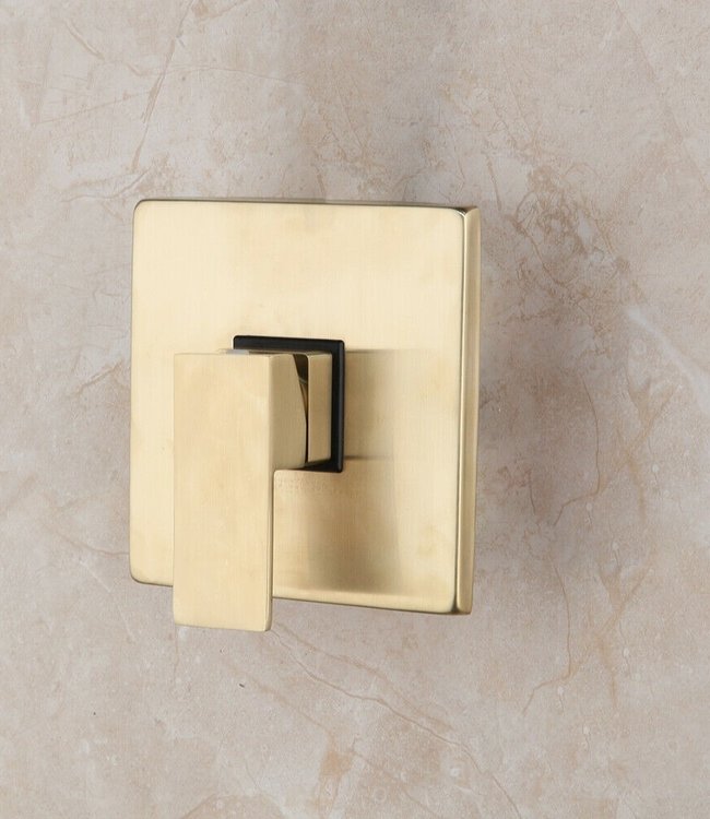 Rene Houtman Inbouwdouche - Mat Goud