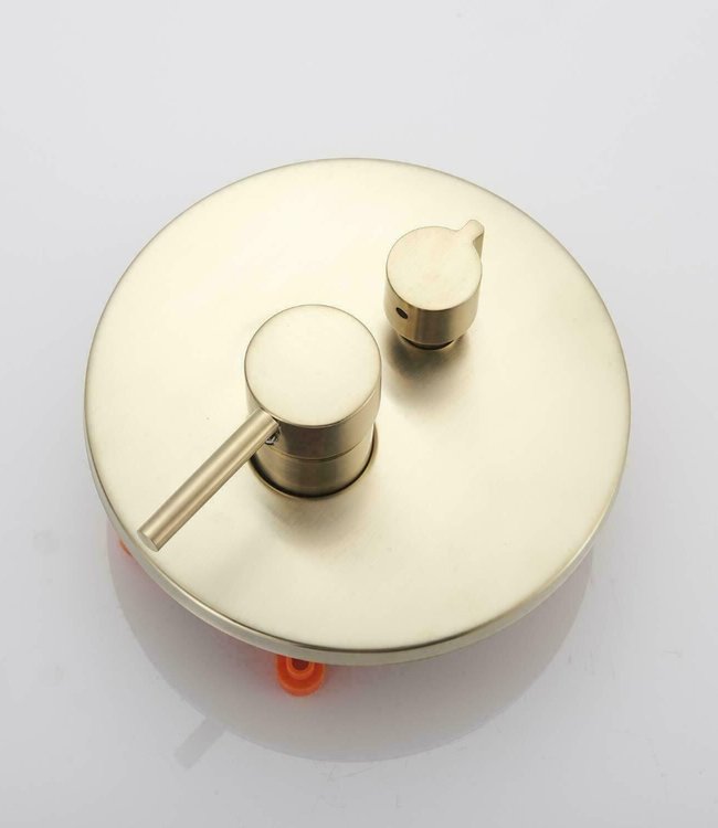 Rene Houtman Geborsteld Gouden Douche-set