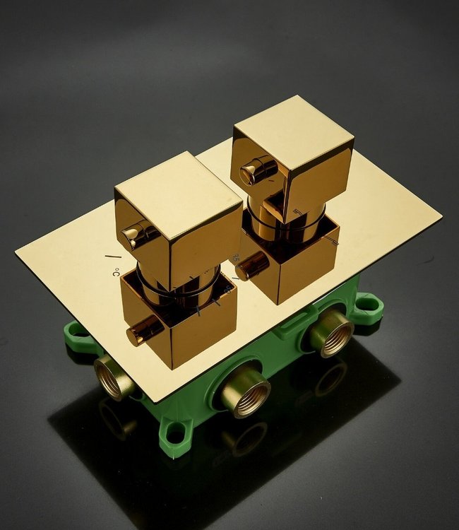 Rene Houtman Thermostatische douche met Handdouche - Goud