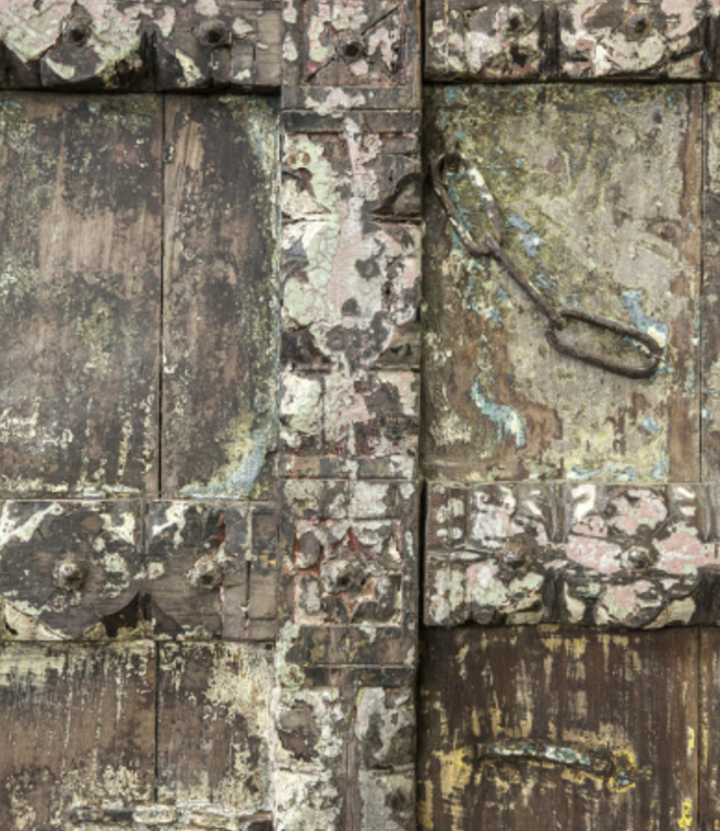 Be-Uniq Origineel Oude Deur uit India - H169 x B99 x D7 cm