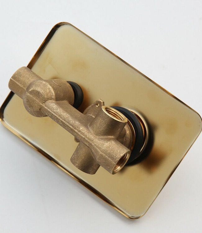 Rene Houtman Nostalgische inbouwdouche met Handdouche - Goud